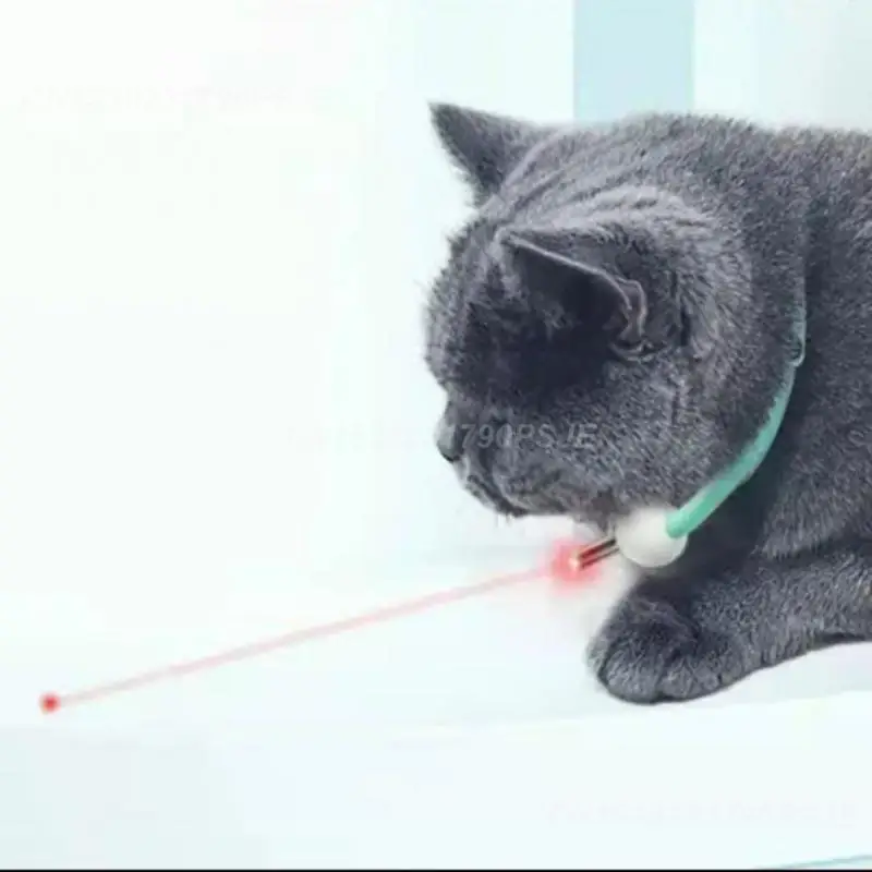 Brinquedo Coleira laser  para gato