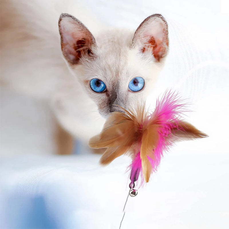 Brinquedo para gatos  em forma de coleira com vara de provocação interativa com sinos e resistente a mordidas